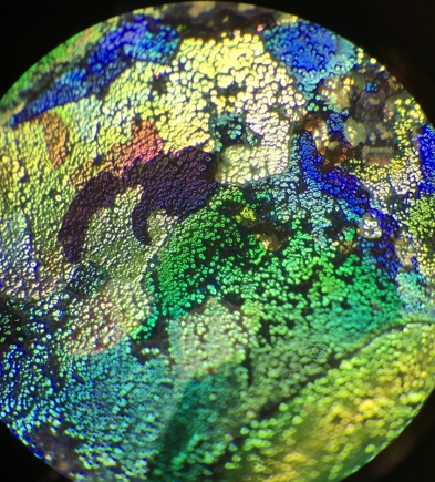 glass under a microscope