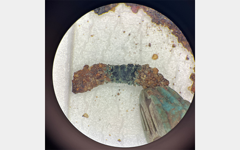 Microscope image of an ancient scarab ring. The removal of corrosion and burial dirt in the center revealed a metal coil around the ring’s band.