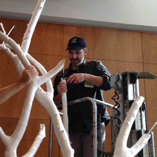 Matt Kotlarczyk works on the Tree of Life
