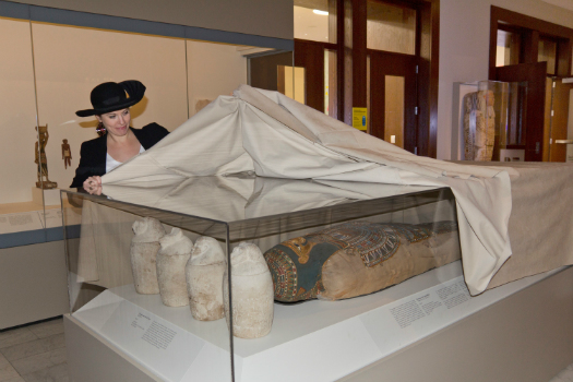 Covering the mummy display case