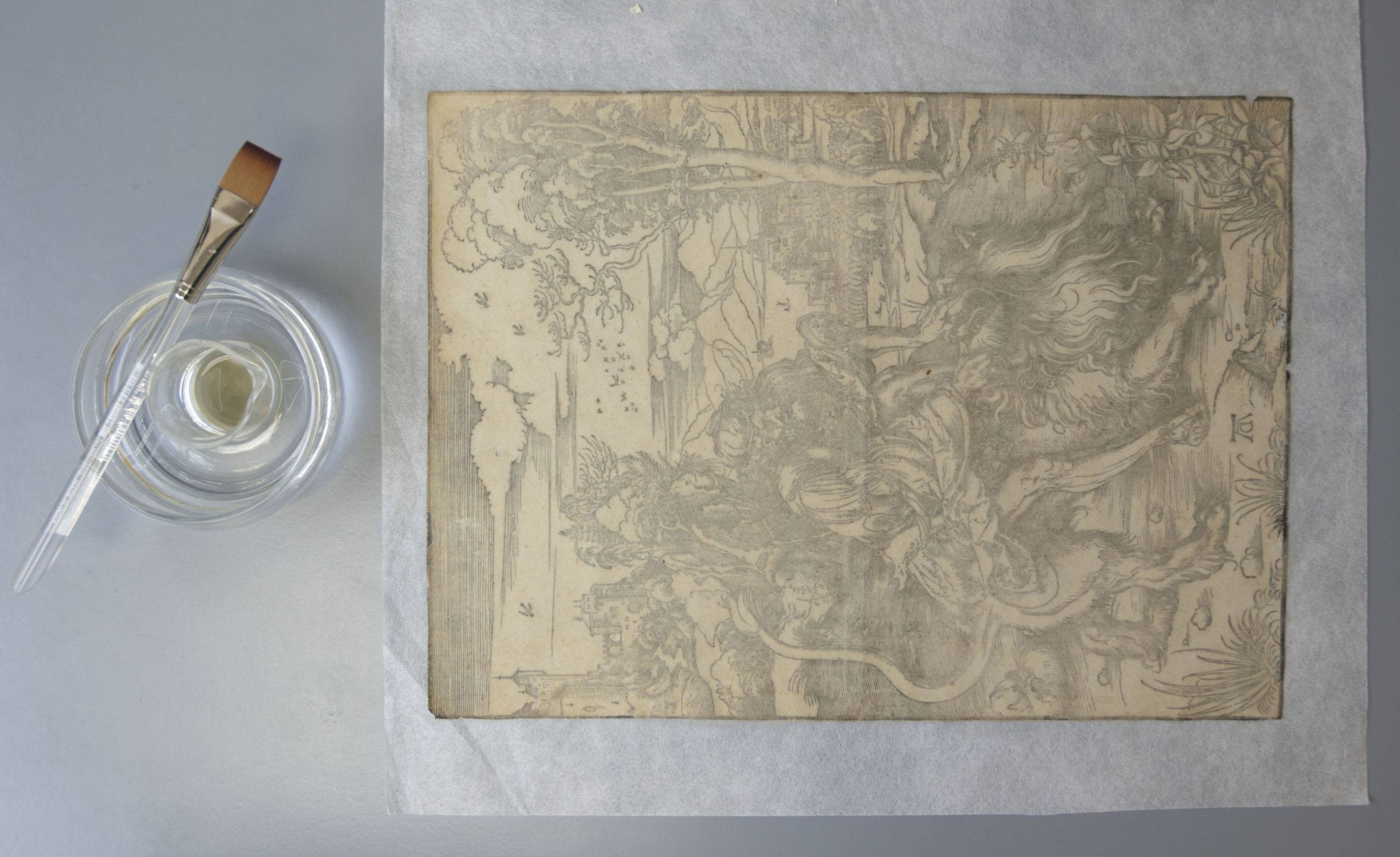 Behind the Scenes in Conservation: Cat Fight! - Cincinnati Art Museum