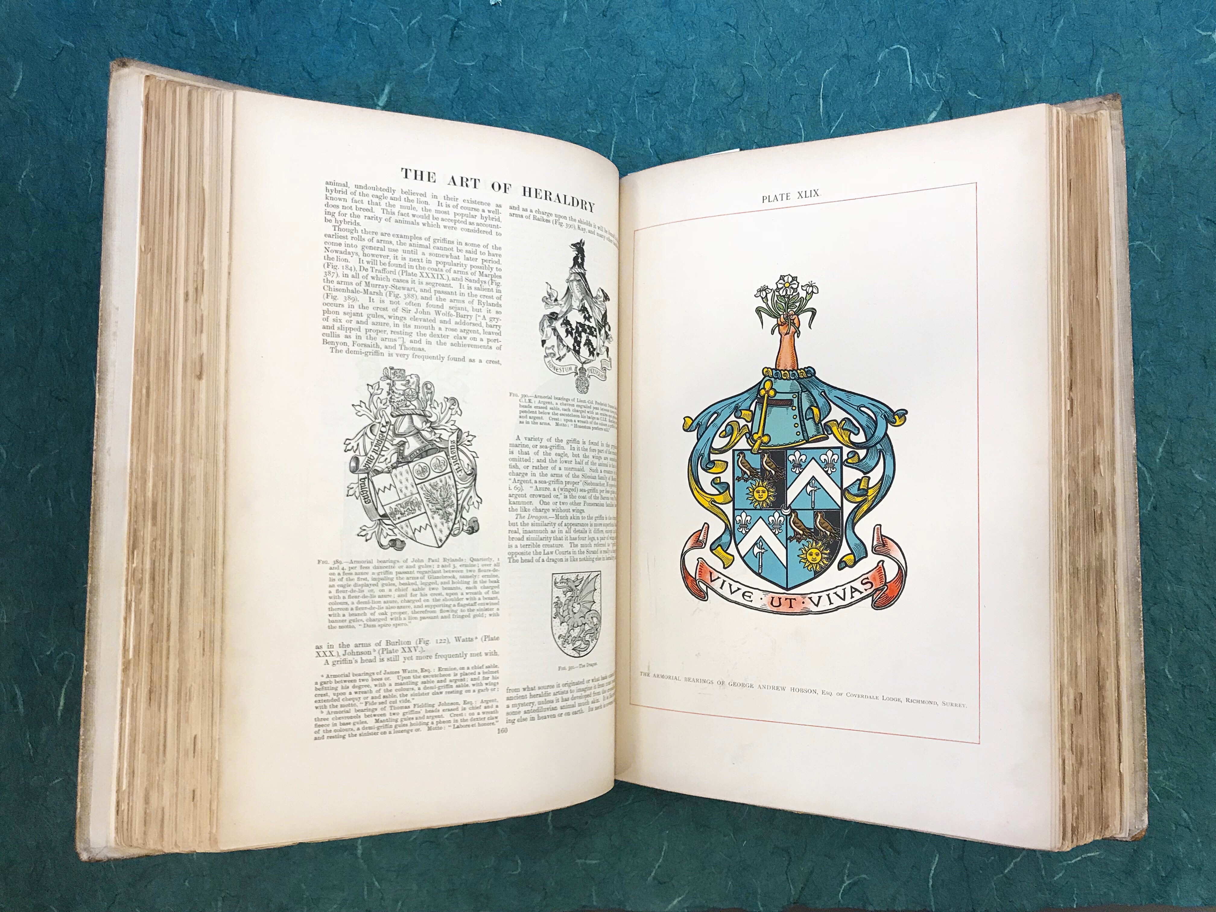 page from The Art of Heraldry: an Encyclopedia of Armory