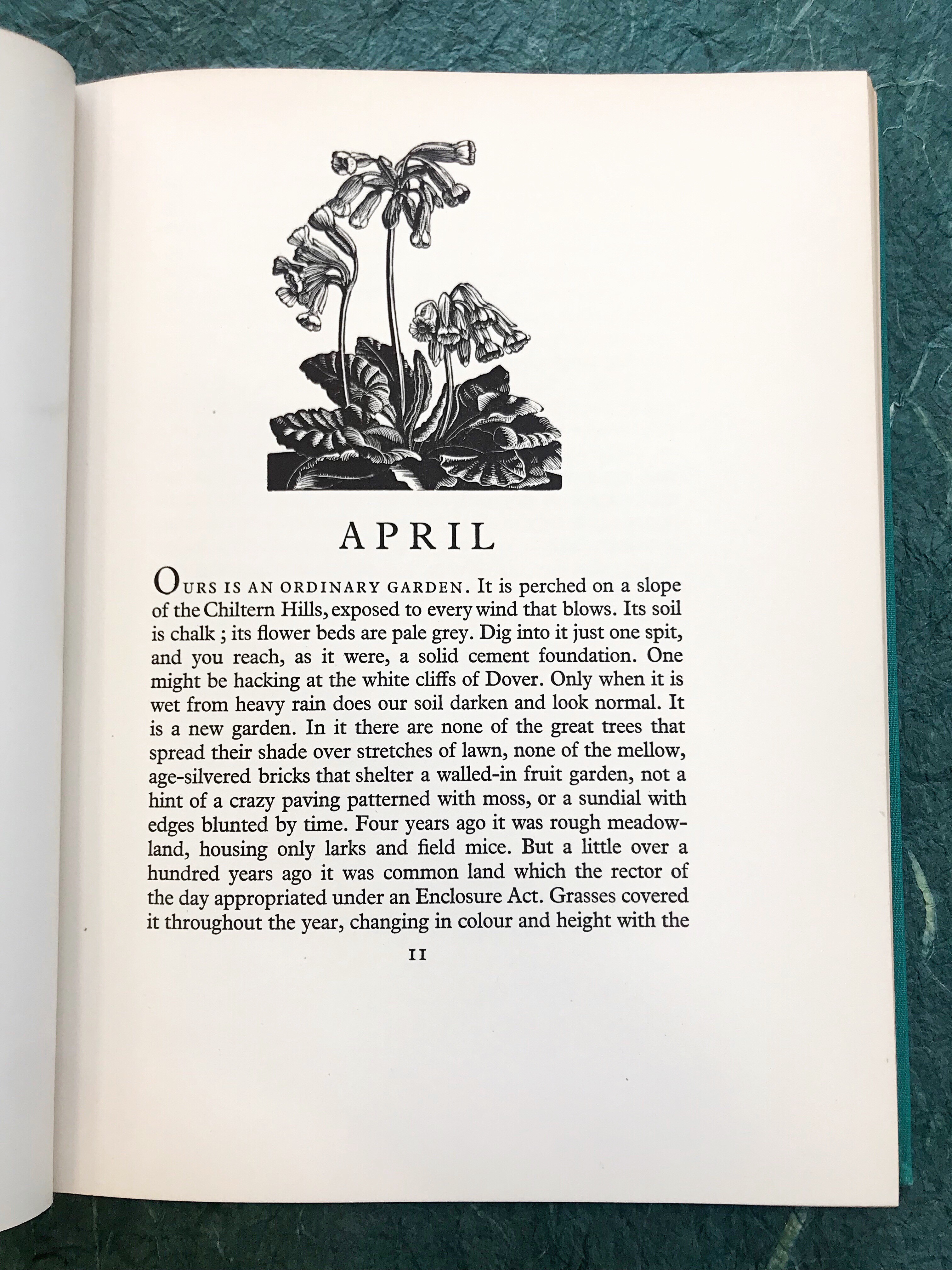 page from The Farmer’s Year by Clare Leighton with an illustration of a flower