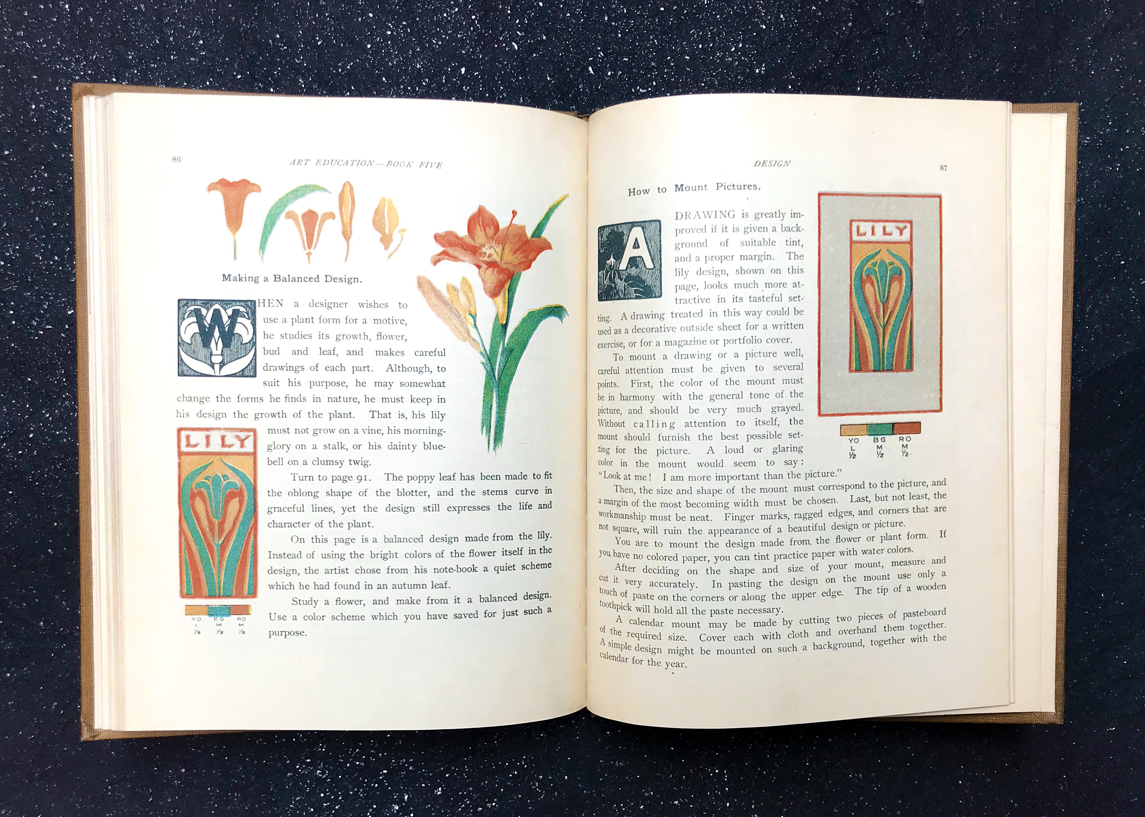 illustrations of lilies 