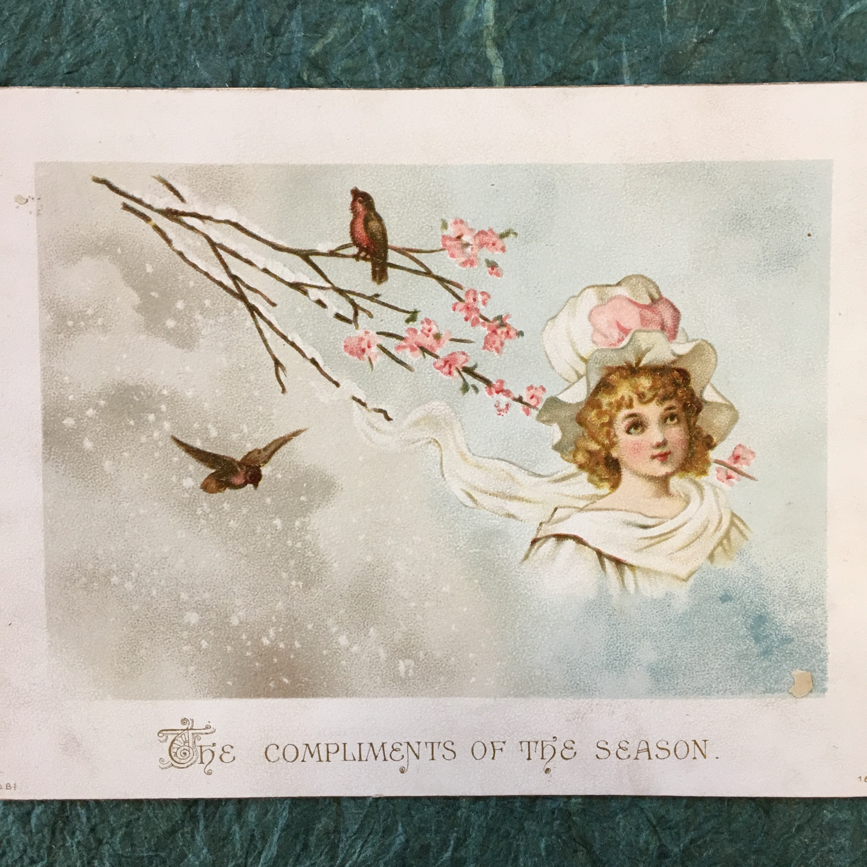 Christmas card with a painting of birds on a tree branch and a girl in all white
