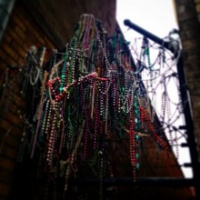 beads hanging from a tree