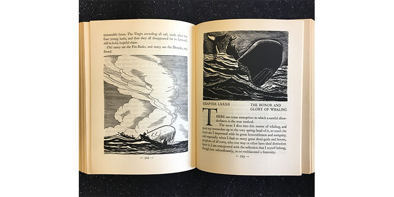 illustrations of the crew hunting the whale