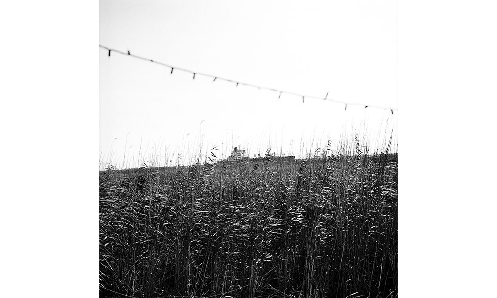 A black and white photograph of a dense, tall grass field