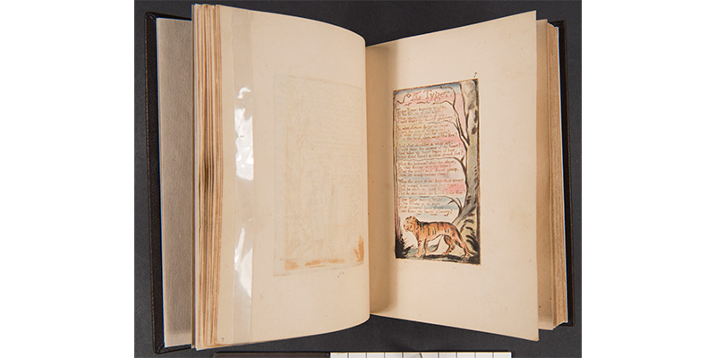 book pages after conservation
