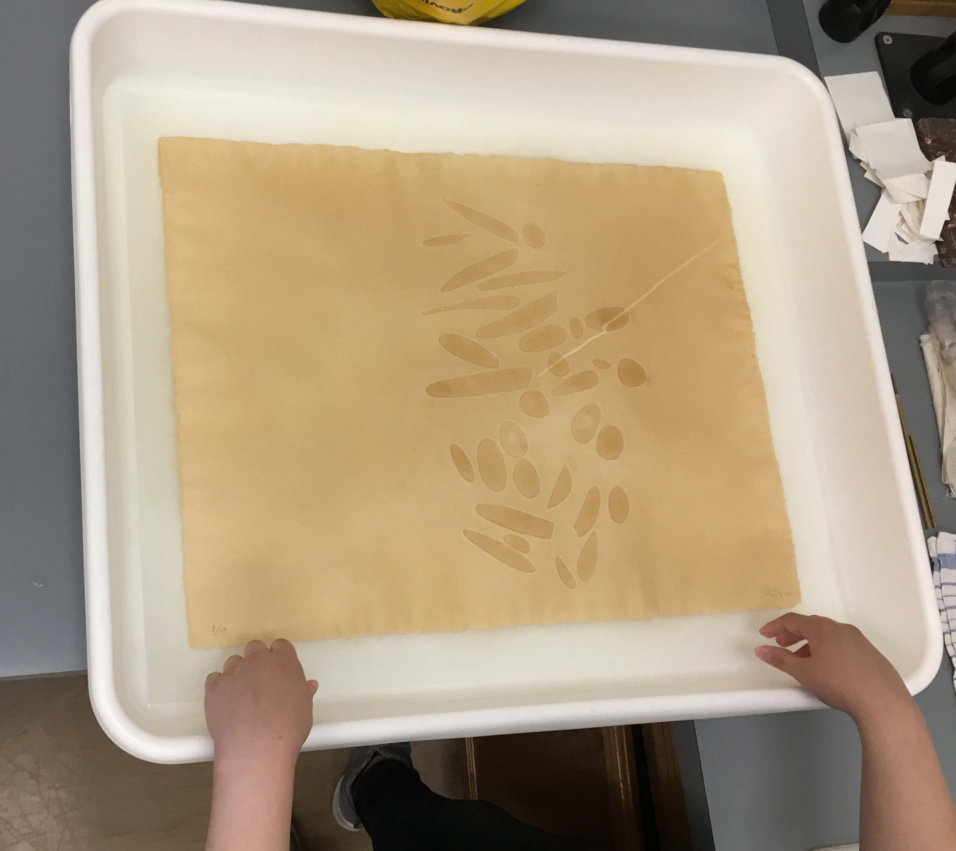print in a tub of water
