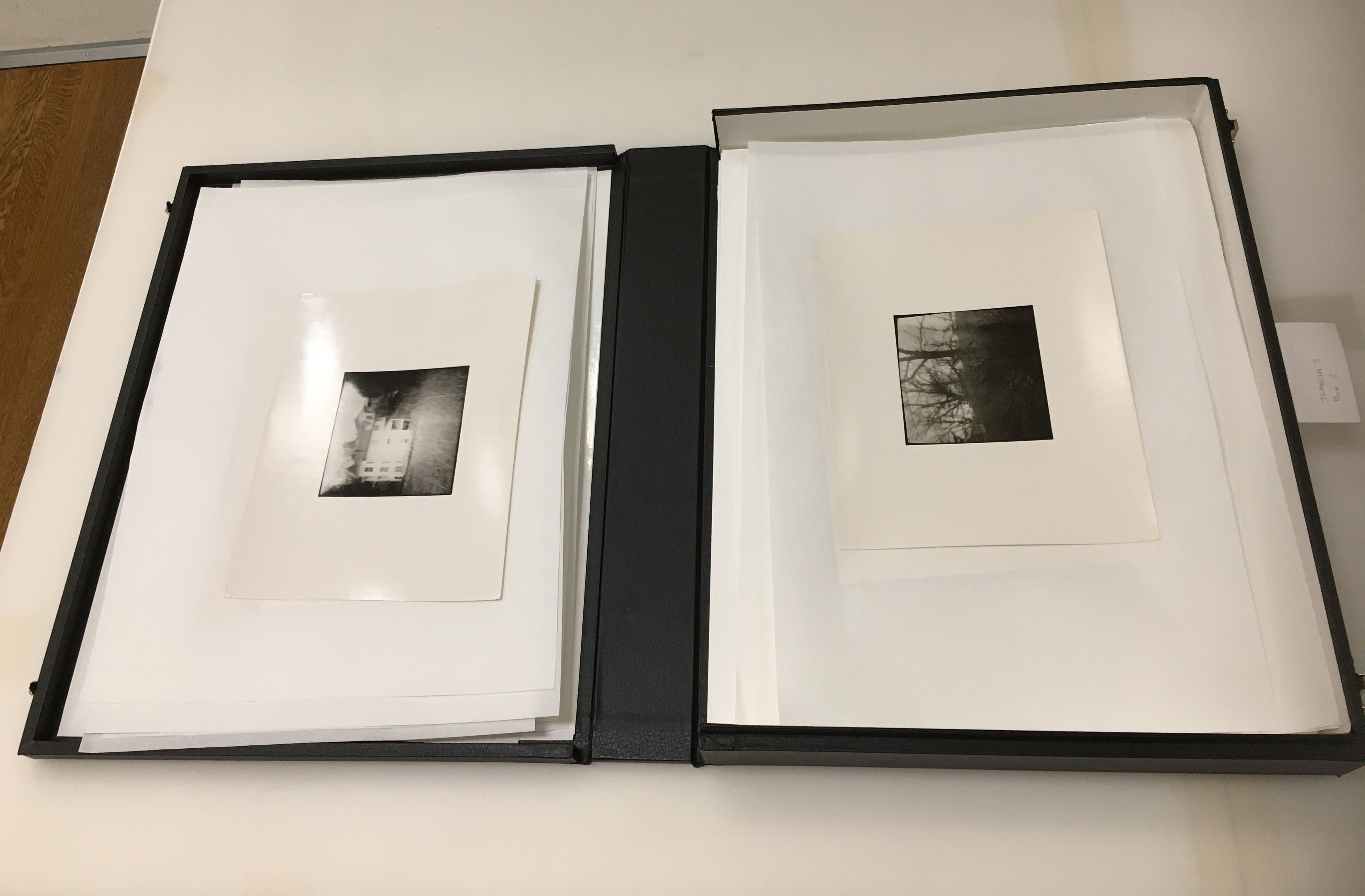 Pair of Matted Photo Prints by Nancy Adam