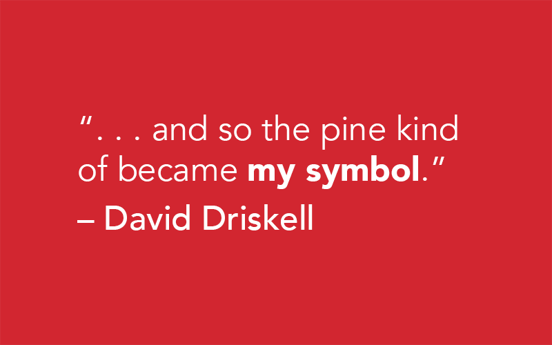 "and so the pine kind of became my symbol." -David Driskell