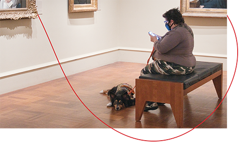 A visitor with a guide dog sits in a gallery