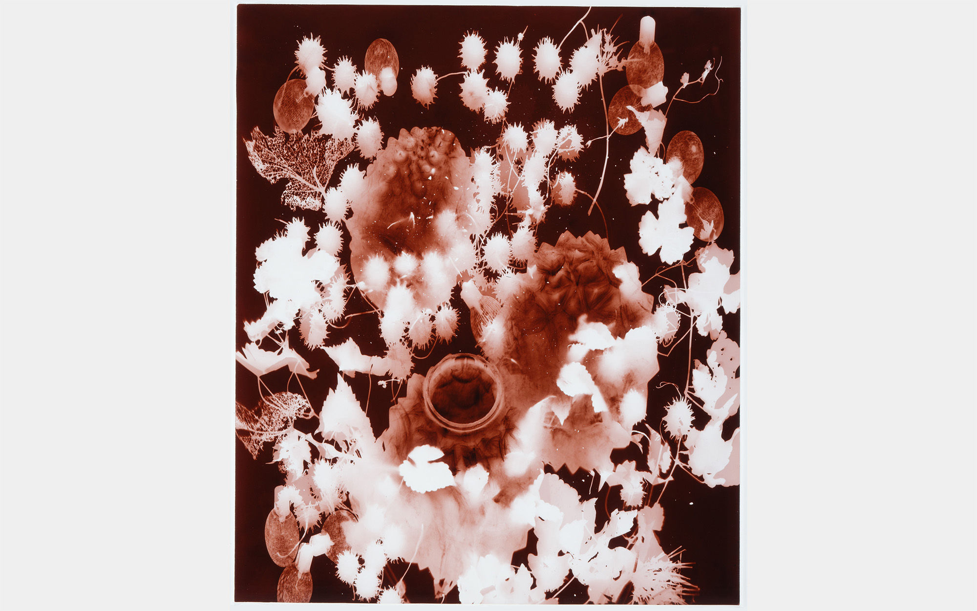 A red print of plants