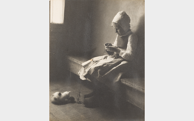 Nancy Ford Cones (American, 1869–1962), Knitting with a Kitten Nearby, 1907, gelatin silver print, Gift of Timothy A. Fischer, 1995.146 