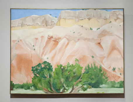 Georgia O’Keeffe’s My Backyard, painting of some tall bushes in front of a tall desert hillside 