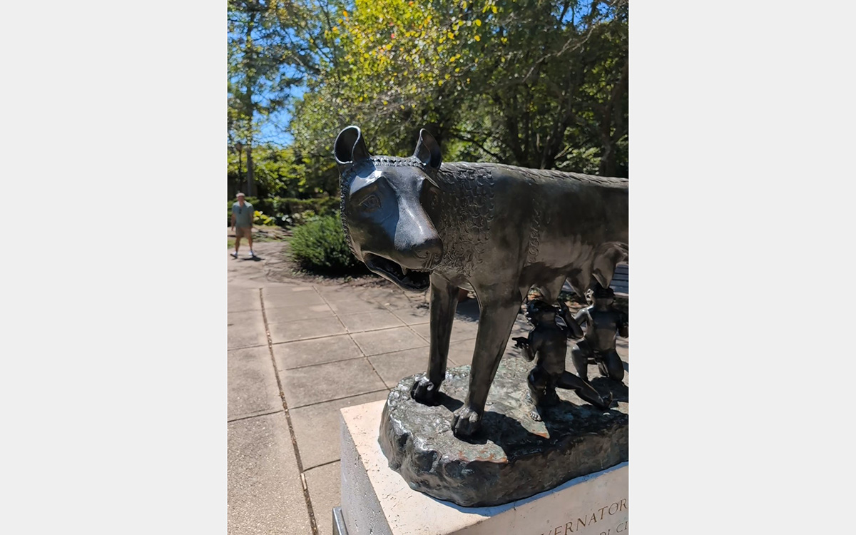 Bronze sculpture depicting a wolf with two human toddlers underneath its body. In the background is a park-like background with green trees, a blue sky, and a man walking on a concrete plaza.
