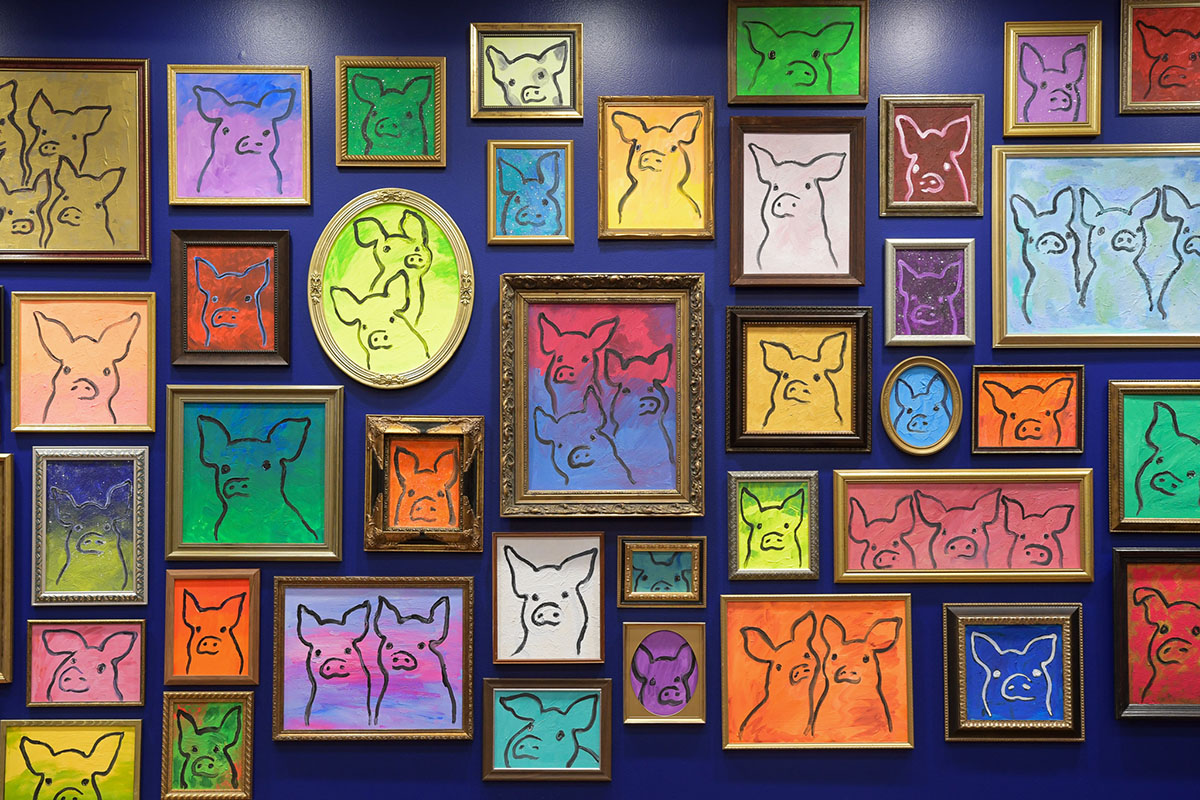 A gallery wall with many framed paintings of pigs on colorful backgrounds