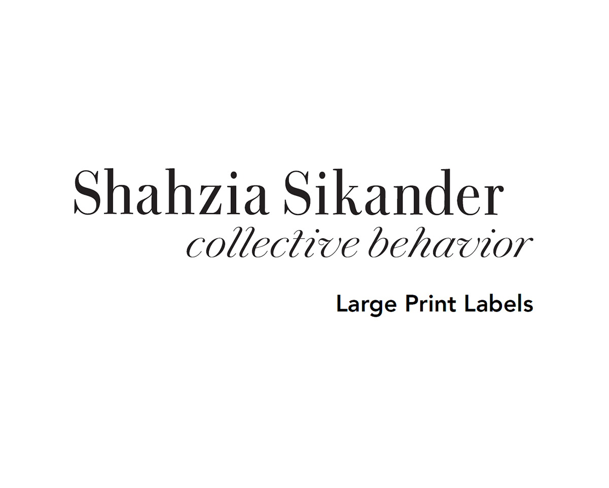 Shahzia Sikander: Collective Behavior