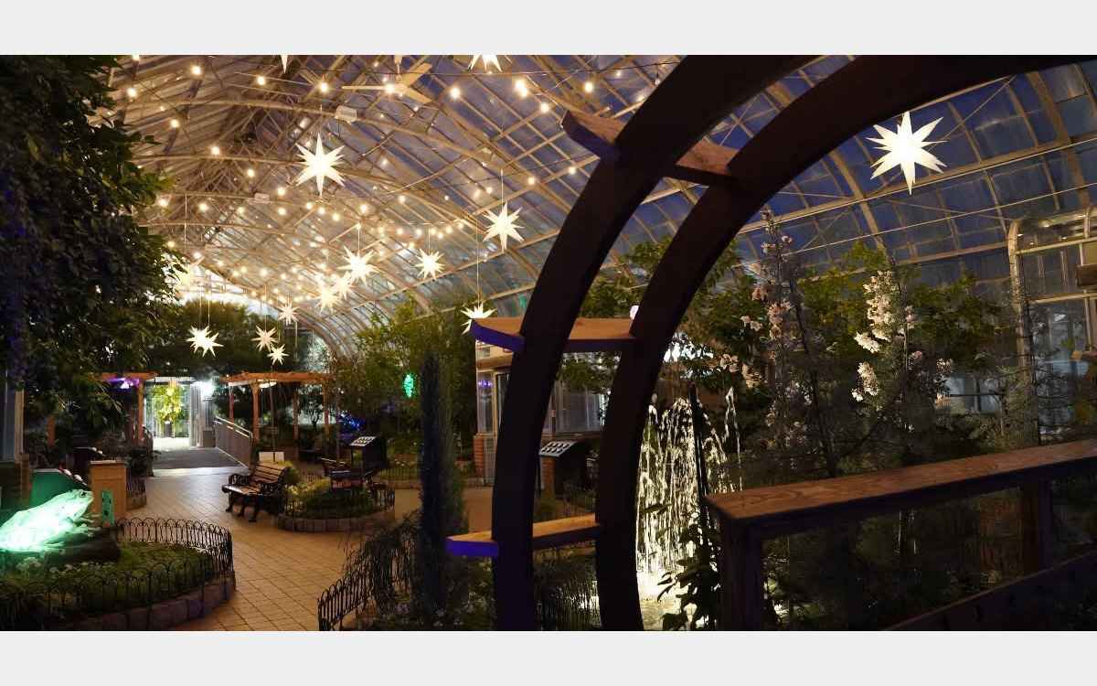 Inside of a botanic conservatory