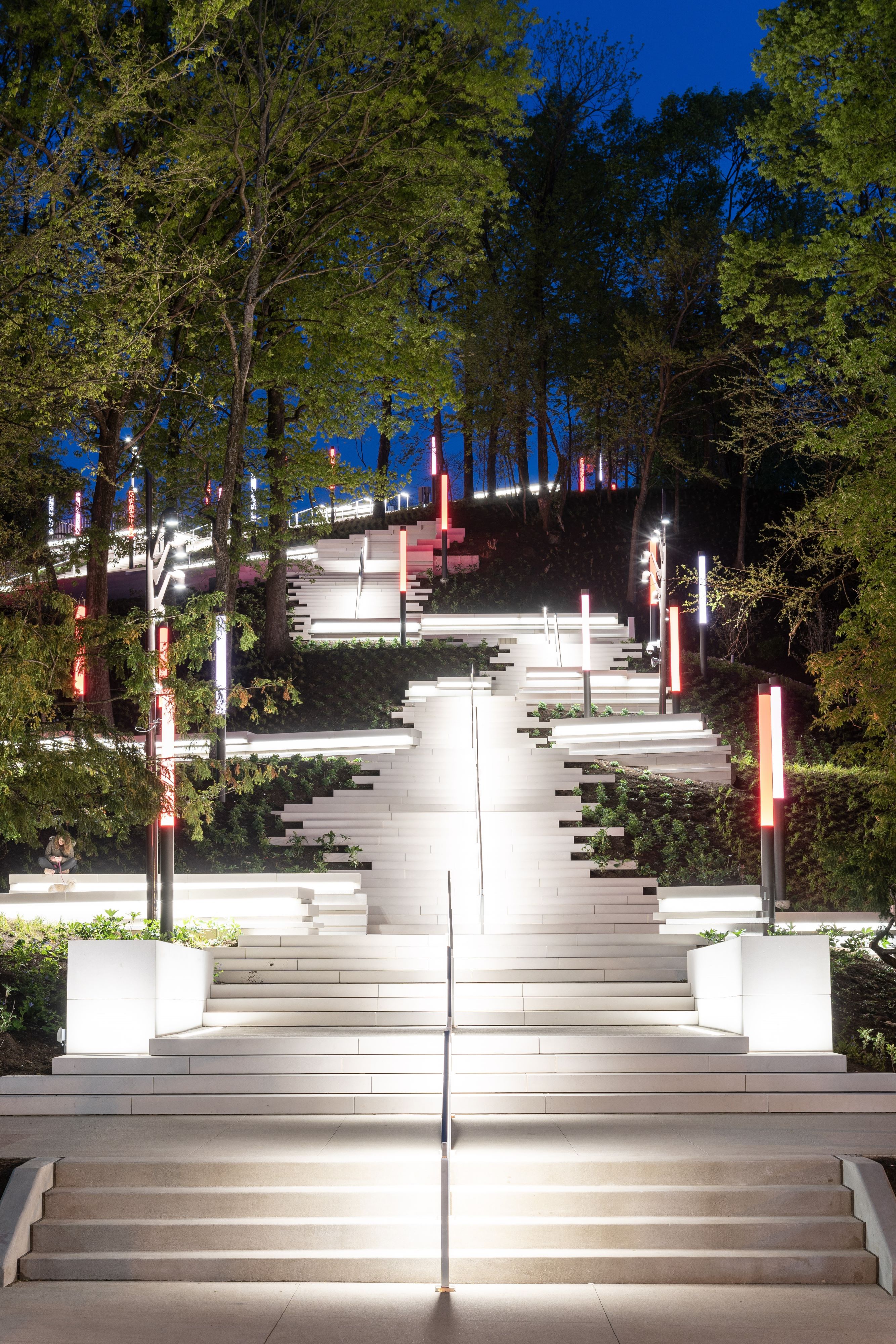 A broad stone staircase on a wooded hillside lit at night with colored light batons.