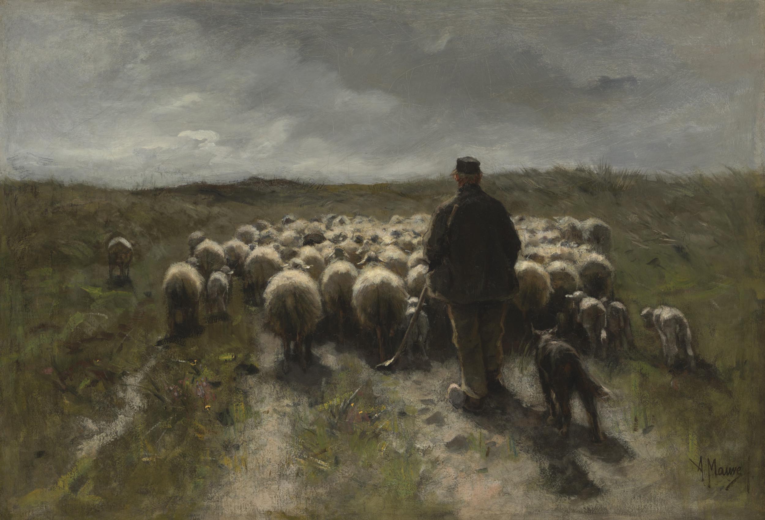 A man in a coat and his dog herd a flock of sheep