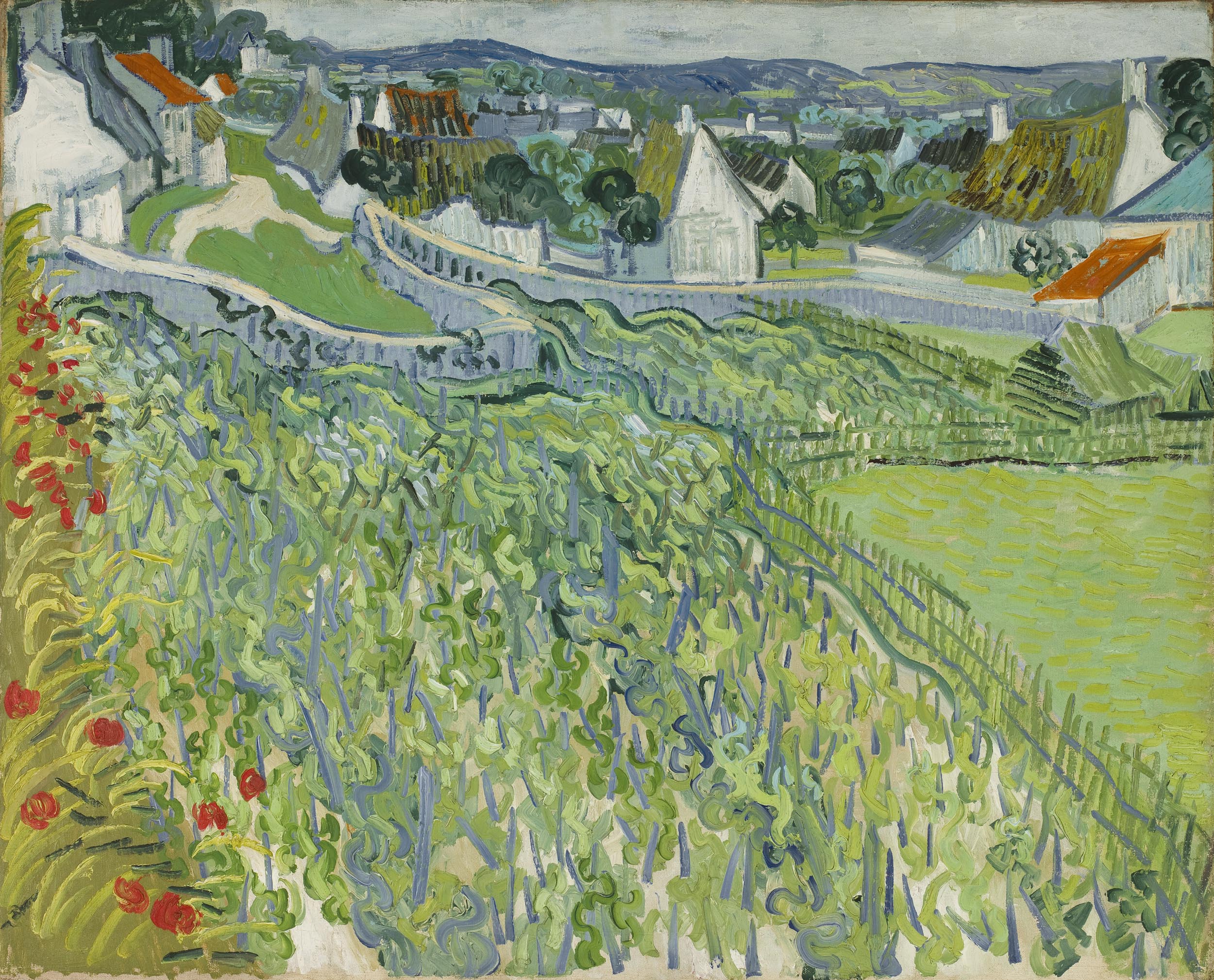 A vineyard on a hillside near a village