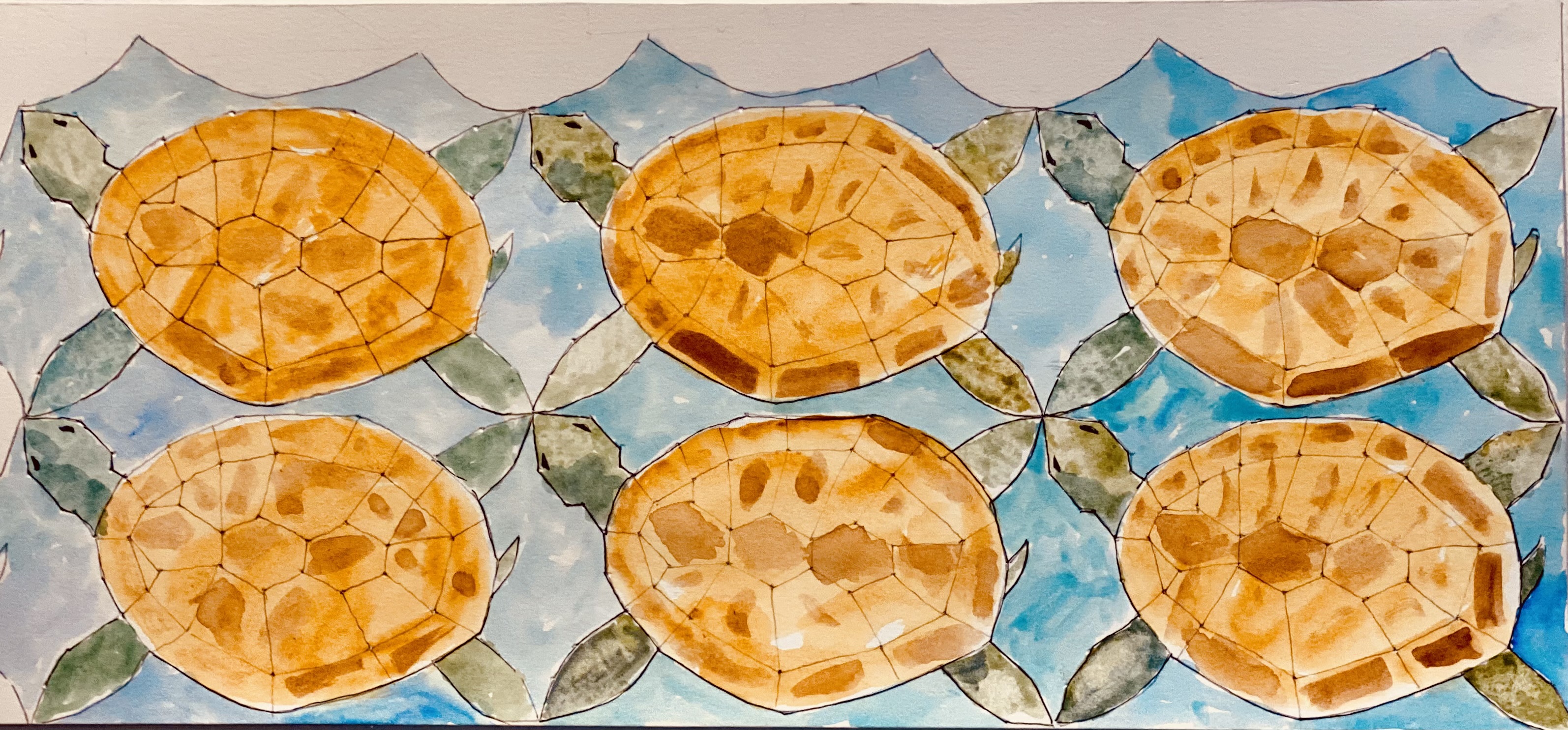 The turtles are watercolor painted brown on a blue background