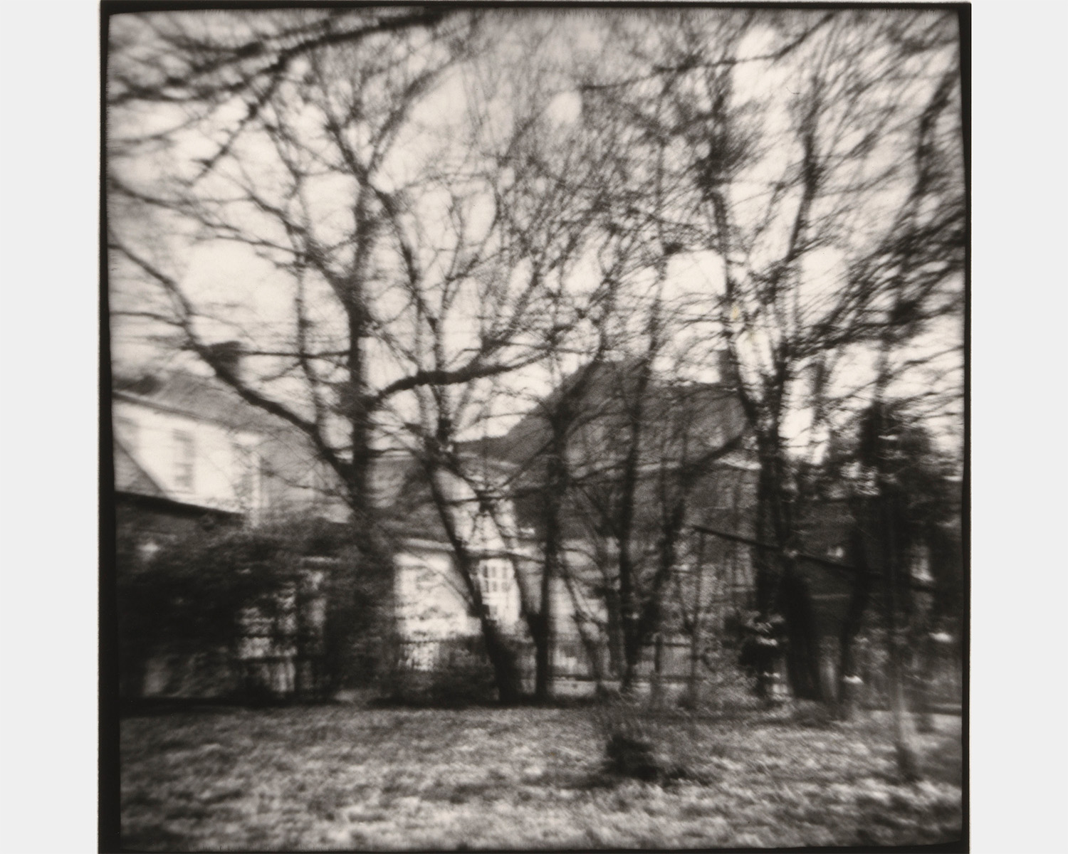 A black and white photo of trees with no leaves