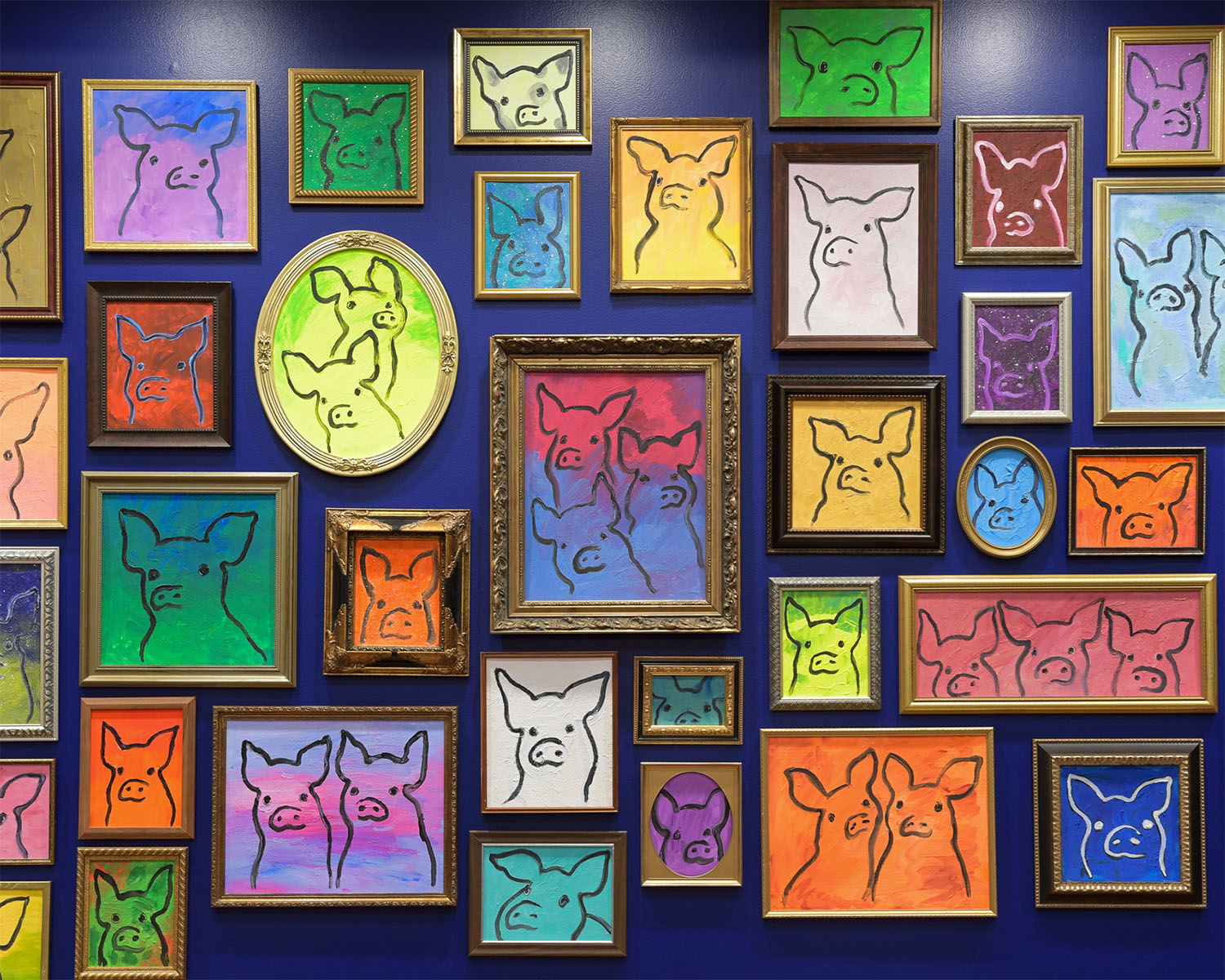 Many colorful, framed paintings of pigs on a vibrant, blue wall