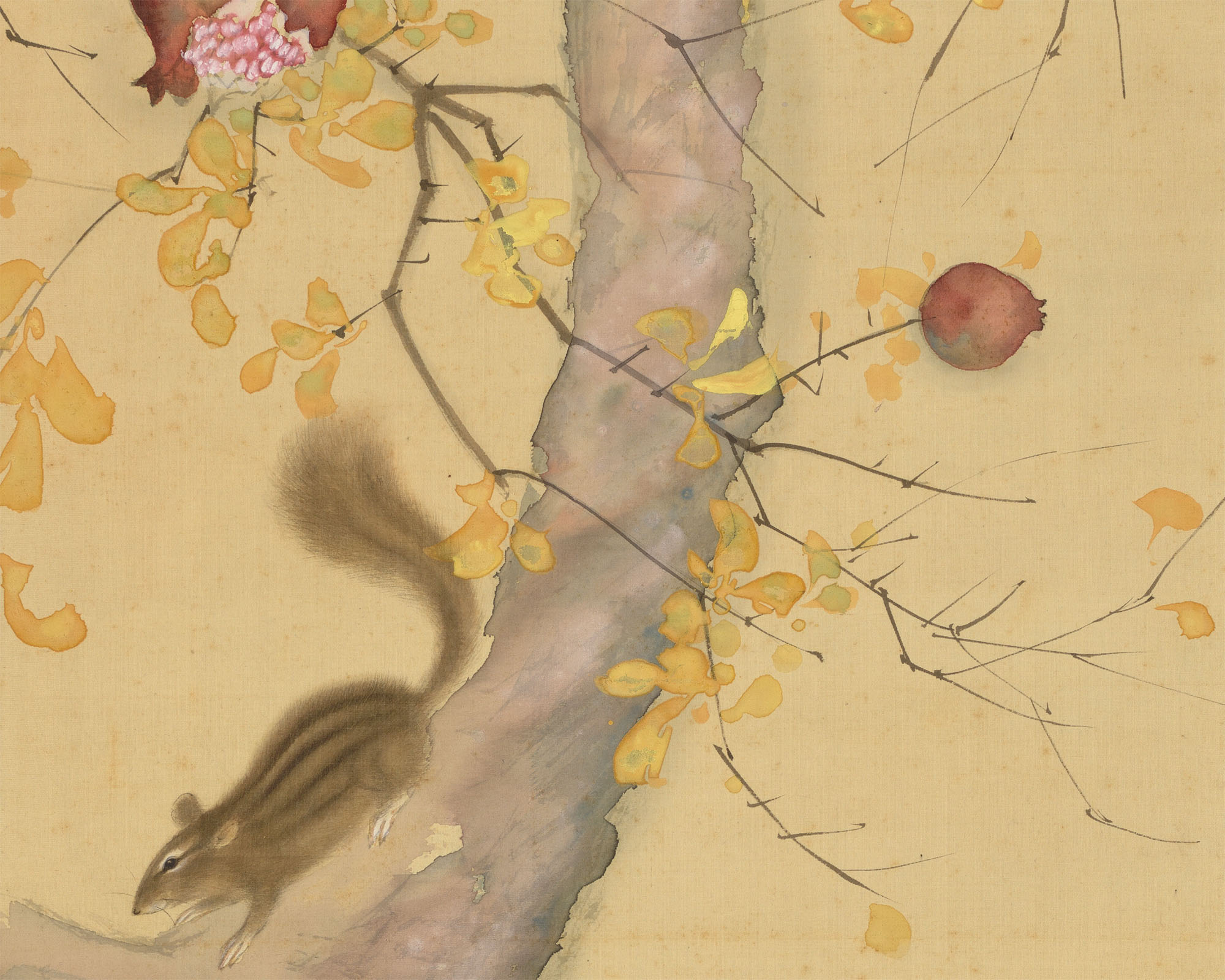 A squirrel crawls down a tree with yellow flowers and pomegranates