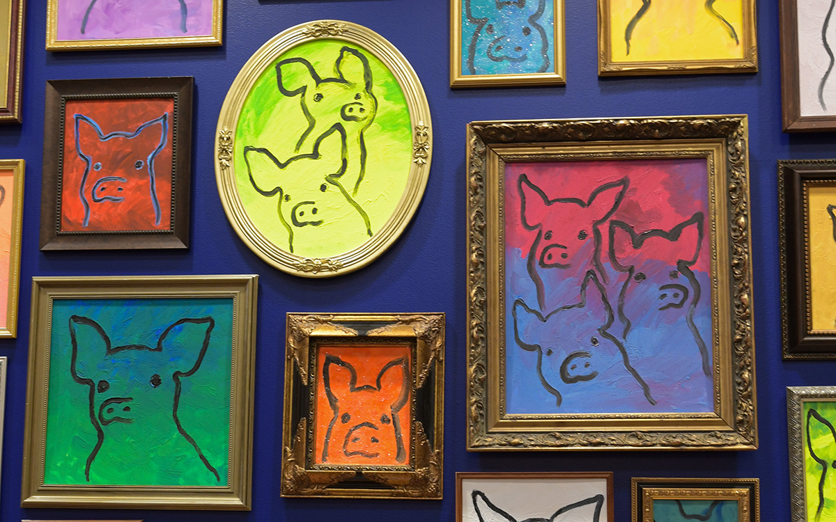 A vibrant display of framed art featuring pigs. 