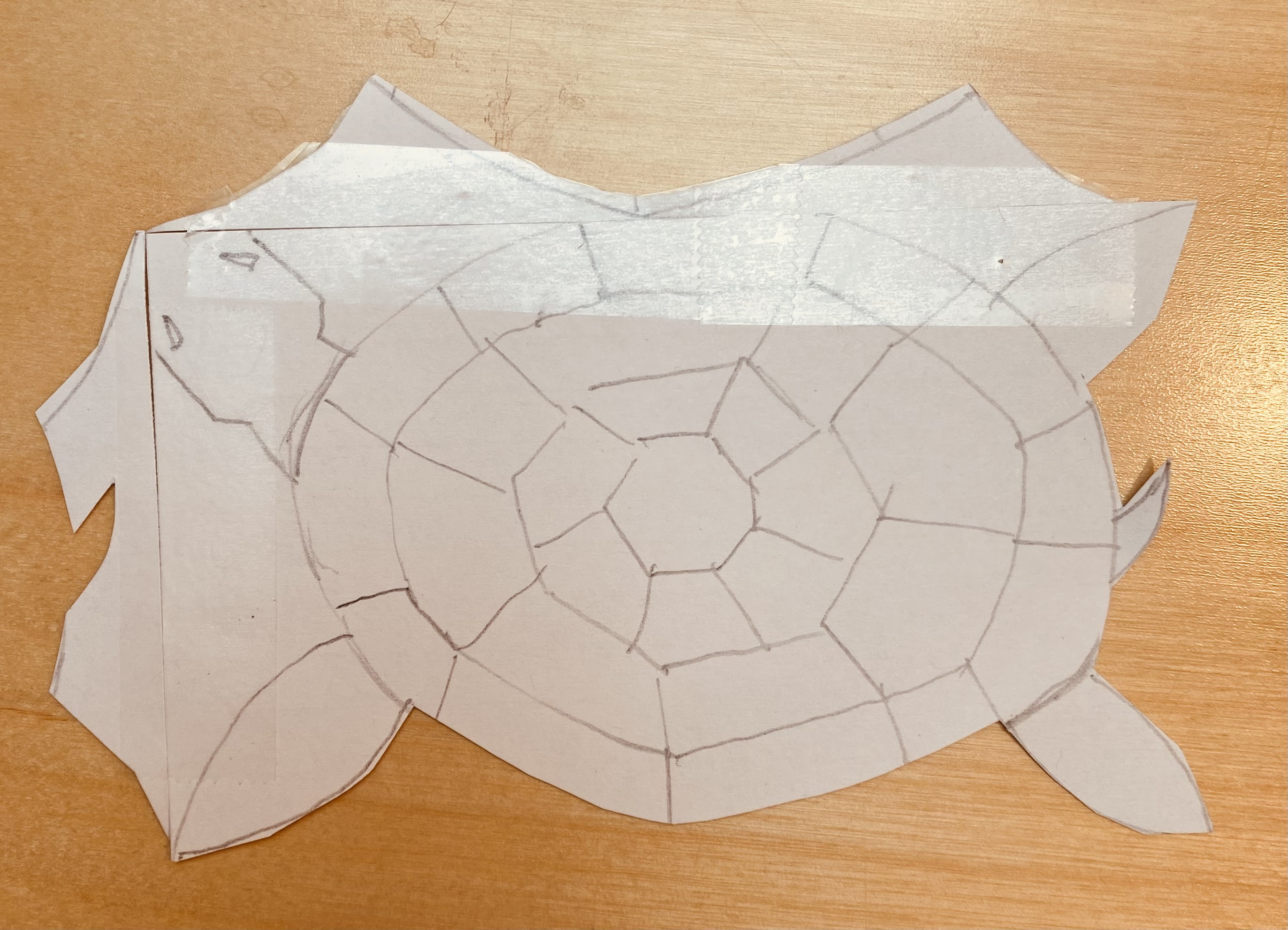 Cutting the turtle sketch out