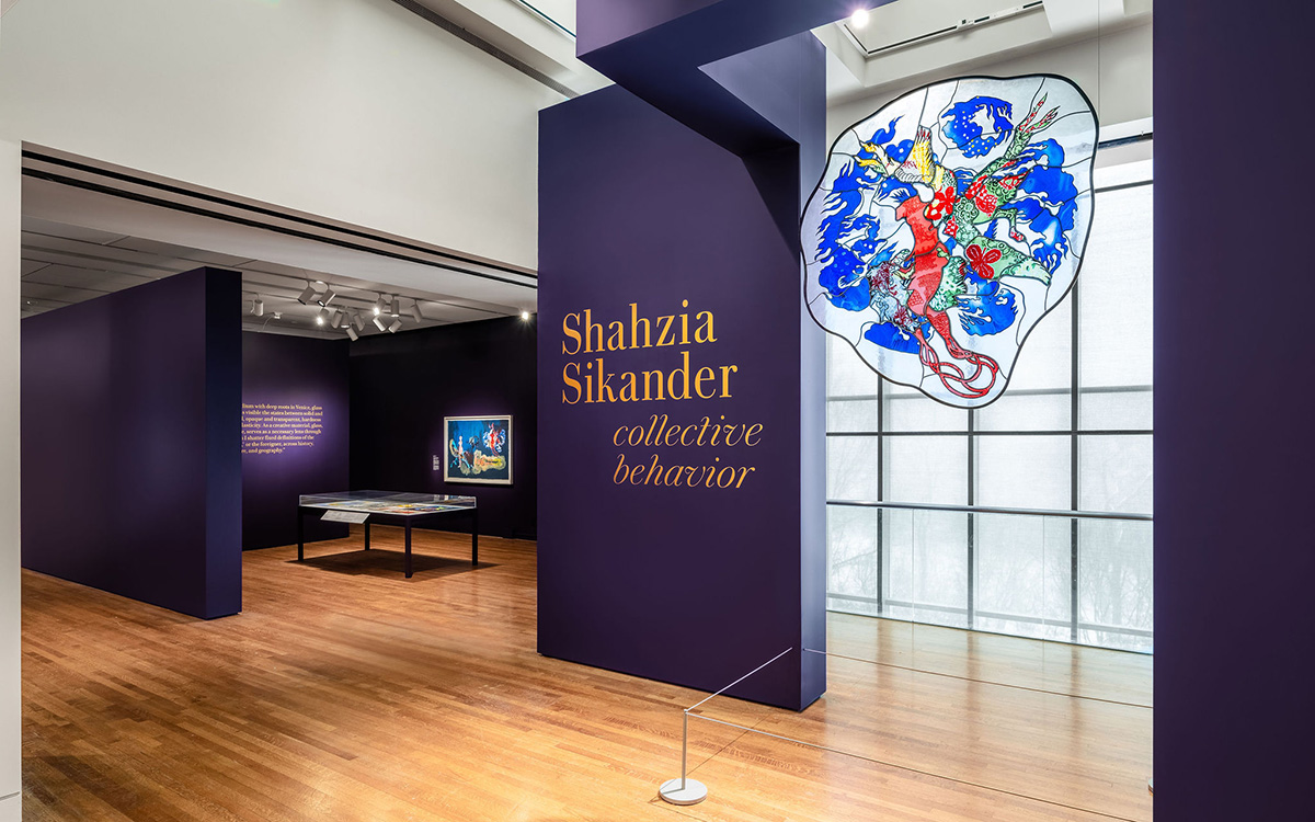 The Shahzia Sikander: Collective Behavior title wall