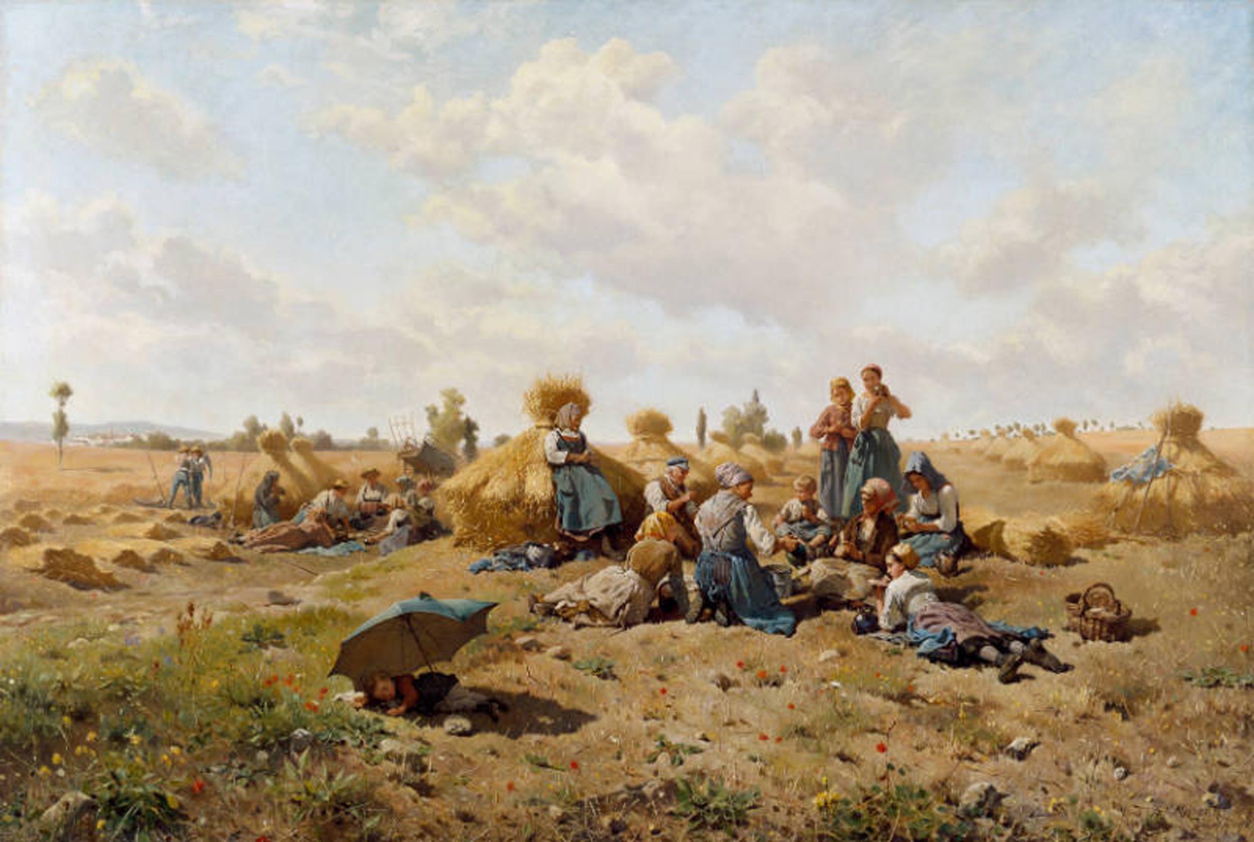 White people rest in a field