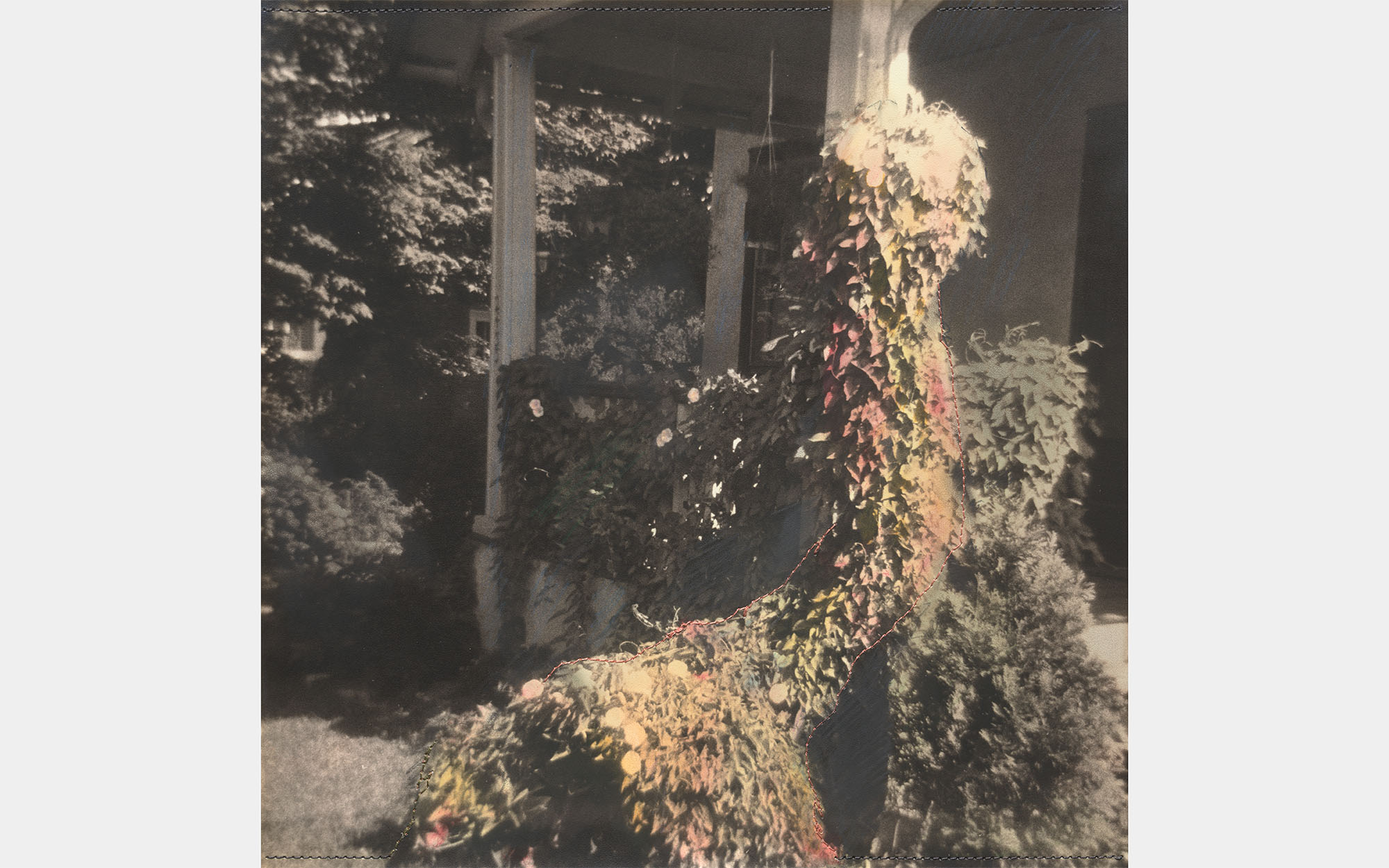 A photo of shrubs growing on a porch, featuring stitched details